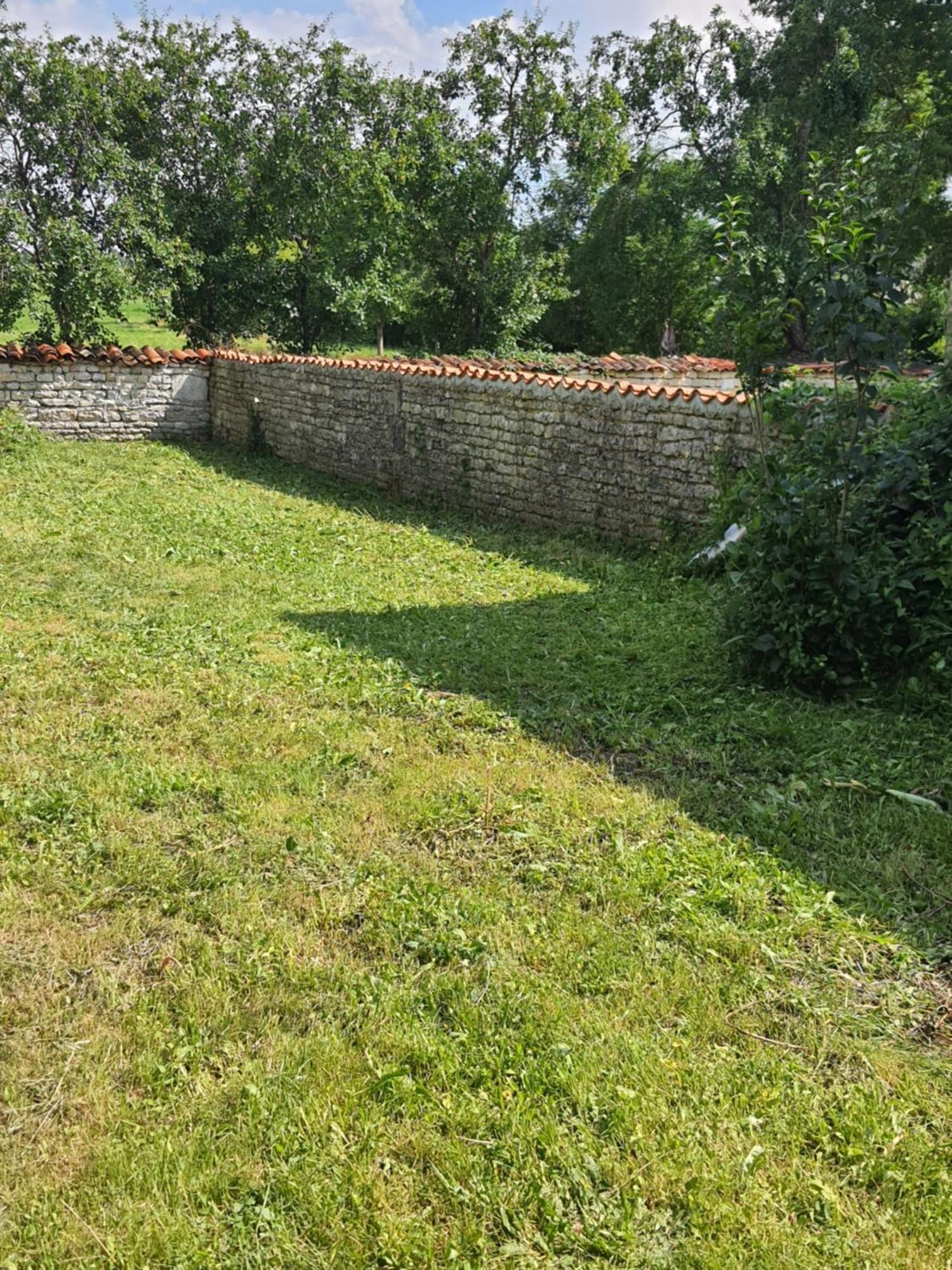 Domi Et Les Chats Barbezieres Dış mekan fotoğraf